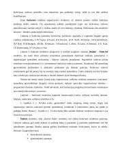 Nauji organizacinių struktūrų tipai 2 puslapis