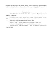 Nauji organizacinių struktūrų tipai 7 puslapis