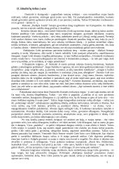 P. Orintaitė "Paslėpta žaizda" 3 puslapis