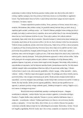 Pasakos analizė: "Vargšas leidžia sūnų į mokslą" 2 puslapis