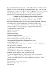 Pasakos analizė: "Vargšas leidžia sūnų į mokslą" 3 puslapis