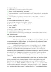 Pasakos analizė: "Vargšas leidžia sūnų į mokslą" 4 puslapis