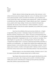 S. Brigelis "Sudėliojau raides" 2 puslapis