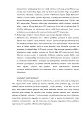 Straipsnio analizė: "Permainos bendrovėje "Mažeikių nafta" netrikdo augimo tempo" 4 puslapis