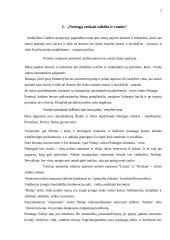 Straipsnių analizė: "Verslo žinios" 2 puslapis