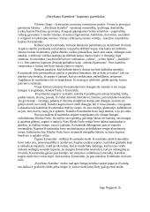 „Paryžiaus Katedros“ Kupriaus paveikslas