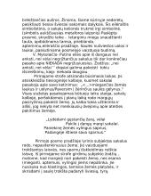 V. Mykolaitis-Putinas "Margi sakalai" - eilėraščio analizė 3 puslapis