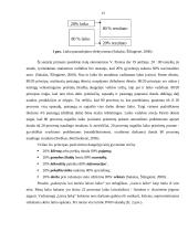 Darbo laiko planavimo problemos: UAB "Joniškio vandenys" 13 puslapis