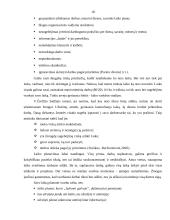 Darbo laiko planavimo problemos: UAB "Joniškio vandenys" 18 puslapis