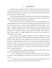 Darbo laiko planavimo problemos: UAB "Joniškio vandenys" 5 puslapis