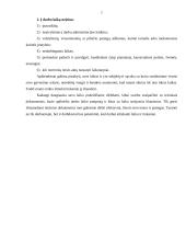 Darbo laiko planavimo problemos: UAB "Joniškio vandenys" 7 puslapis