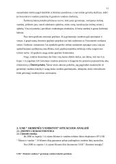 Geriamojo vandens kokybės gerinimas: UAB "Akmenės vandenys" 11 puslapis