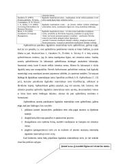 Ilgalaikio turto apskaitos analizė įmonėje 11 puslapis