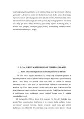 Ilgalaikio turto apskaitos analizė įmonėje 19 puslapis