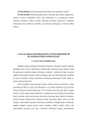 Ilgalaikio turto apskaitos analizė įmonėje 5 puslapis