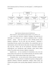 Ilgalaikio turto apskaitos analizė įmonėje 7 puslapis