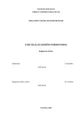 Įmonės įvaizdžio formavimas: UAB "Tele2"