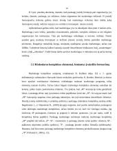 Klaipėdos miesto turizmo įvaizdžio formavimo priemonių analizė 13 puslapis