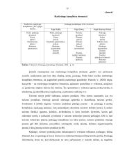 Klaipėdos miesto turizmo įvaizdžio formavimo priemonių analizė 14 puslapis