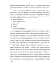 Klaipėdos miesto turizmo įvaizdžio formavimo priemonių analizė 15 puslapis