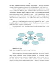 Klaipėdos miesto turizmo įvaizdžio formavimo priemonių analizė 17 puslapis