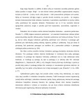 Klaipėdos miesto turizmo įvaizdžio formavimo priemonių analizė 19 puslapis