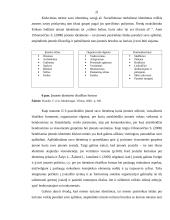 Klaipėdos miesto turizmo įvaizdžio formavimo priemonių analizė 20 puslapis