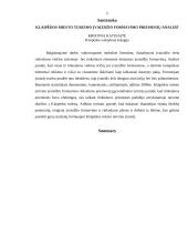 Klaipėdos miesto turizmo įvaizdžio formavimo priemonių analizė 4 puslapis