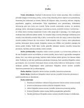 Klaipėdos miesto turizmo įvaizdžio formavimo priemonių analizė 5 puslapis