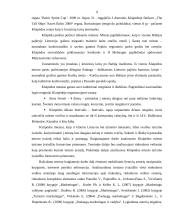 Klaipėdos miesto turizmo įvaizdžio formavimo priemonių analizė 8 puslapis