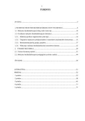 Mokymo bendradarbiaujant taikymas pradiniame ugdyme 2 puslapis