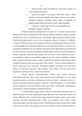 Mokymo bendradarbiaujant taikymas pradiniame ugdyme 16 puslapis