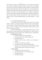 Mokymo bendradarbiaujant taikymas pradiniame ugdyme 17 puslapis