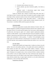 Mokymo bendradarbiaujant taikymas pradiniame ugdyme 18 puslapis