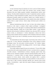 Mokymo bendradarbiaujant taikymas pradiniame ugdyme 3 puslapis