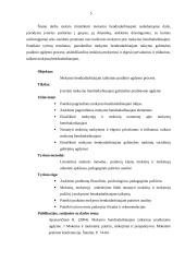 Mokymo bendradarbiaujant taikymas pradiniame ugdyme 5 puslapis