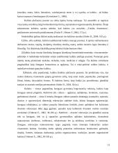 Šeimos laisvalaikis ir jo ypatumai 13 puslapis