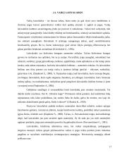 Šeimos laisvalaikis ir jo ypatumai 17 puslapis