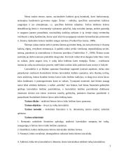 Šeimos laisvalaikis ir jo ypatumai 3 puslapis