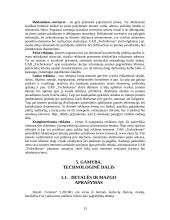 Verslo planas: detalės "velenas" 5.202.001 gamybos baras 13 puslapis