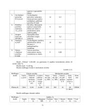Verslo planas: detalės "velenas" 5.202.001 gamybos baras 15 puslapis