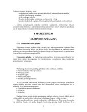 Verslo planas: detalės "velenas" 5.202.001 gamybos baras 5 puslapis