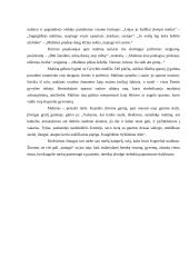 Malūno įvaizdis I. Šeiniaus „Kuprelyje“ 2 puslapis