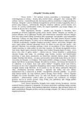 „Skirgailos“ ištraukos analizė 1 puslapis