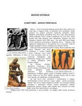 Bokso istorija 2 puslapis