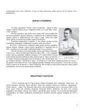 Bokso istorija 4 puslapis