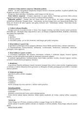 Kūno kultūra - teorija