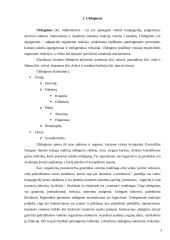 Uždegimo etiologija 3 puslapis