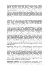 Žemės ūkio mašinų teorija 11 puslapis