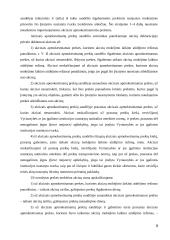 Akcizų taikymas integruojantis į Europos Sąjungą (ES) 9 puslapis